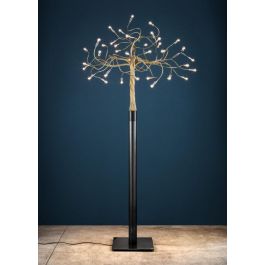 Catellani and Smith Albero della Luce