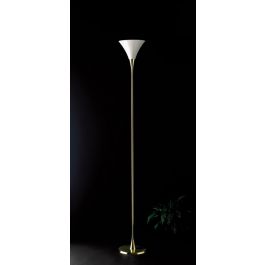 Florian Schulz Lonea