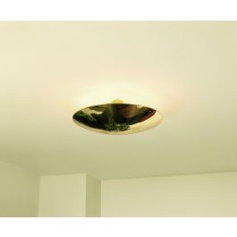 Florian Schulz Sela 40