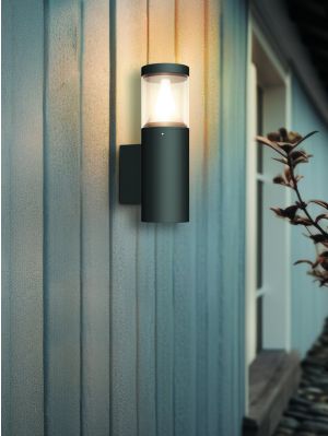 NEXOLIGHT Buna Wall Light