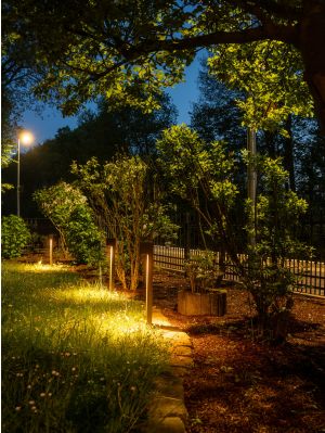 NEXOLIGHT Pollux Bollard Light Type 41