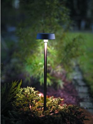 NEXOLIGHT Rana Spike Light